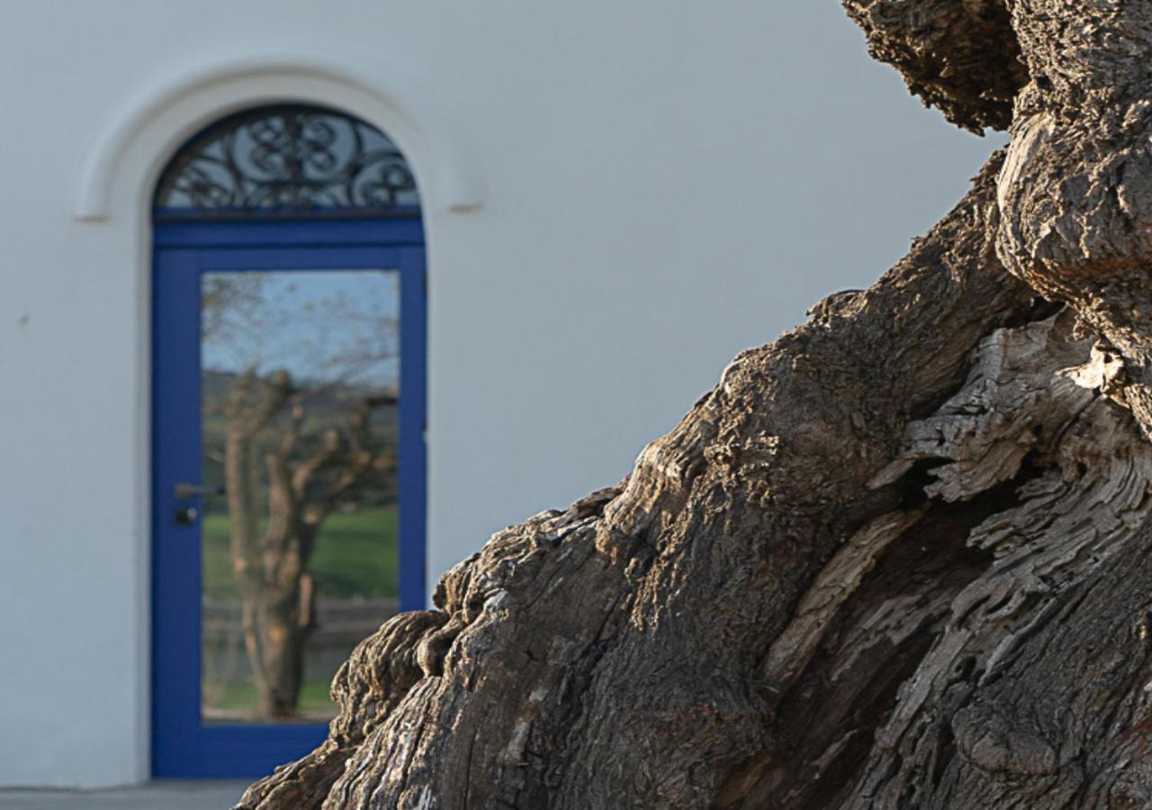 Albergo Rurale Casa Fois Valledoria  Εξωτερικό φωτογραφία